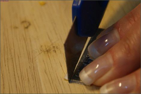 Renovierung Schlüter