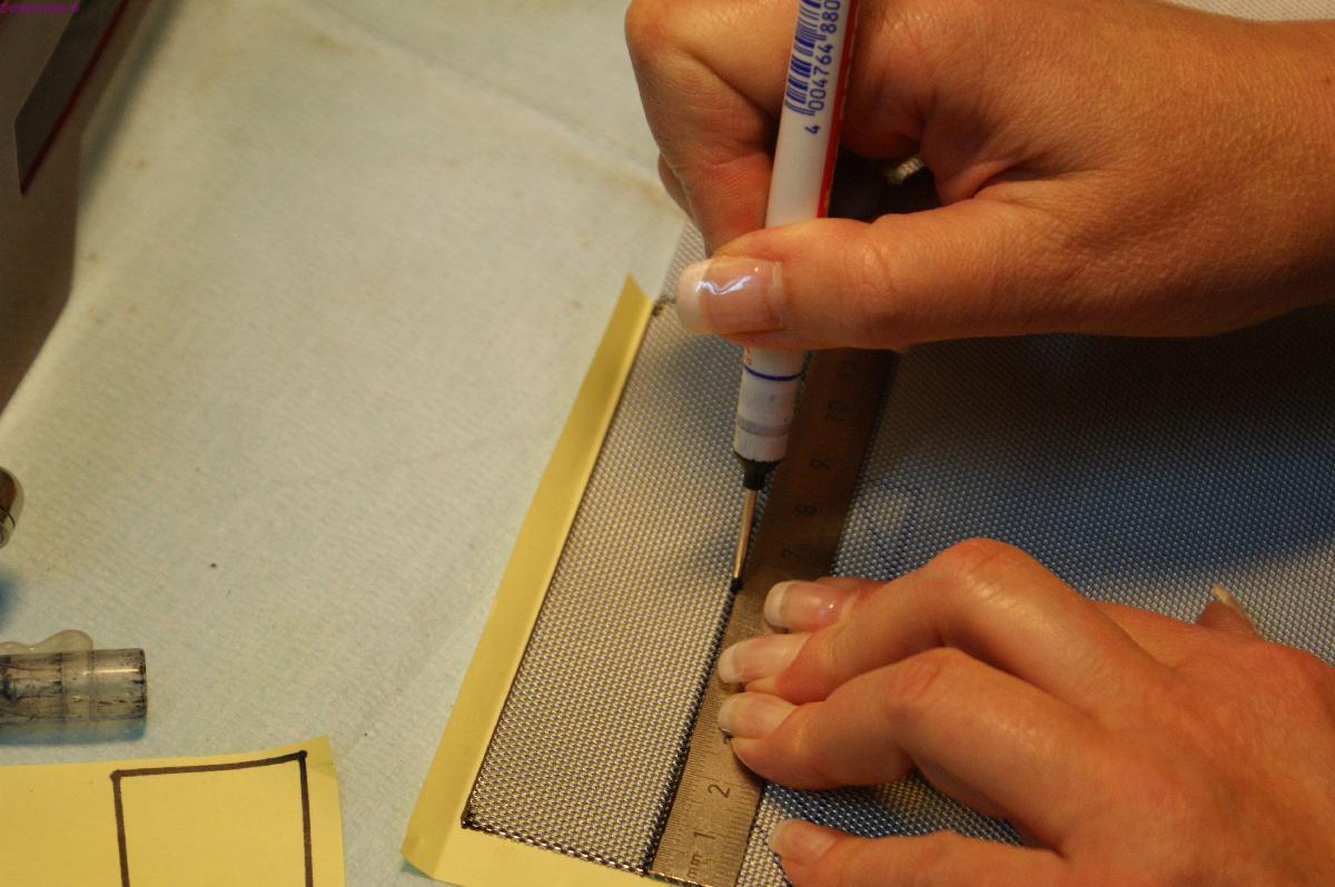 Renovierung Schlüter